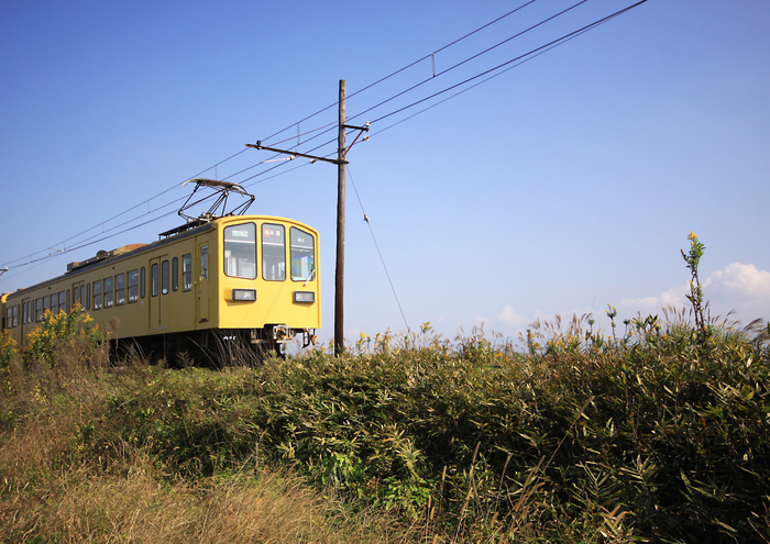 田舎移住を成功させるポイント5選